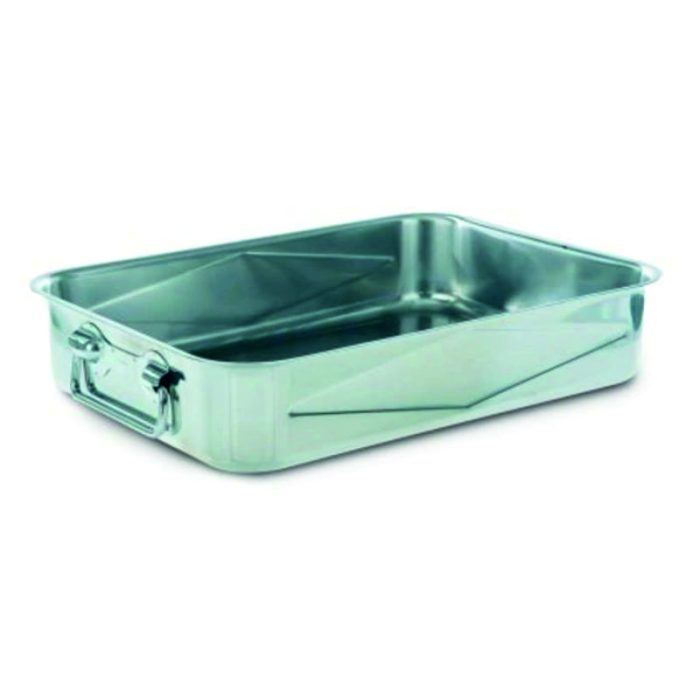 Tray with two handles